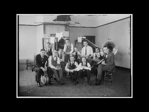 Paul Specht   When The Leaves Come Tumbling Down