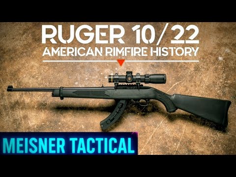 Should You Buy the Ruger 10/22!? 