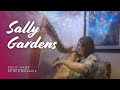 Sally Gardens - Harp Music (arr. Christy Lyn Marais & Kevin Smuts)