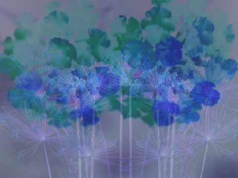 Jordi Savall - Hespèrion XXI - Strambotto: correno multi cani [anónimo]