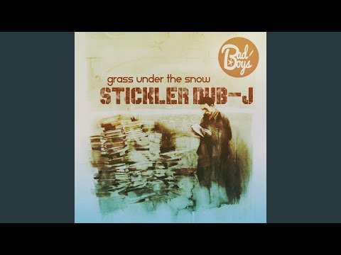 Grass under the snow