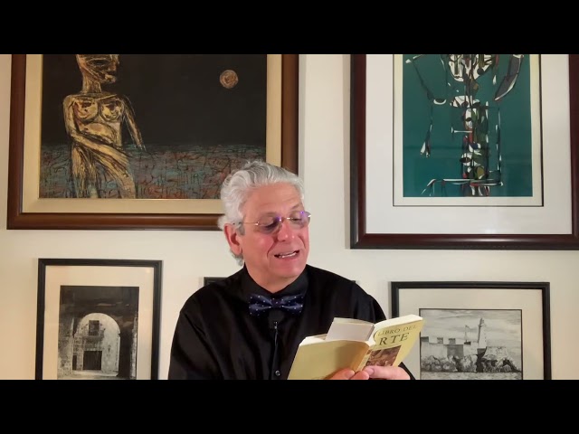 Vídeo relacionado con El libro del arte