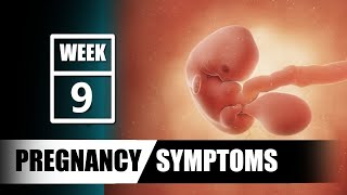 Pregnancy Symptoms :9th-week Pregnancy-What to expect (signs of pregnancy)