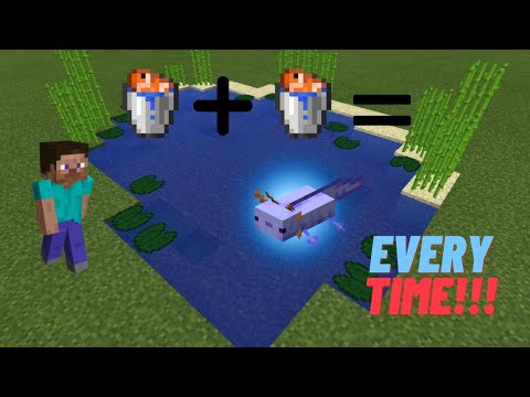 How to breed a blue Axolotl First Try!!!