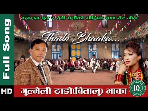 Gulmeli Thaado(Bitalu) bhaaka || Full Song || 2017