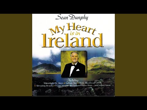 I Can Almost See Ireland from Here