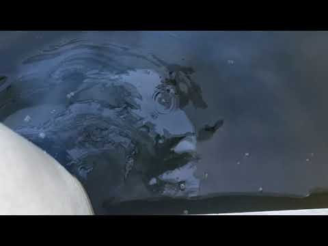 Yanmar 6LYA-STP Oil and smoke in exhaust.