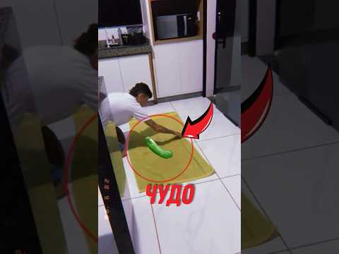 👀 Что он делал с полотенцем? #интересныефакты #странныеситуации #неожиданныйфинал