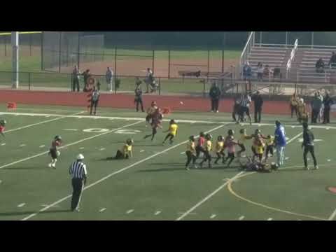 Orion Blaze vs Michigan Ducks 2017 1st round playoffs