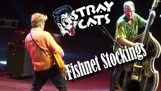 The Stray Cats - Fishnet Stockings LIVE