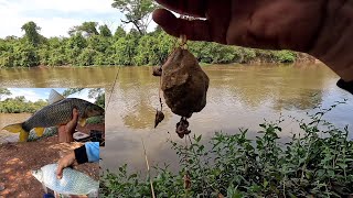 Dia dos monstros na ceva do Rio turvo adrenalina pura Pescaria de Piapara curimba piau e pacu