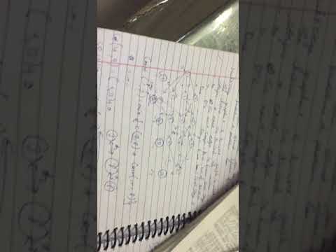 Multi stage graph in punjabi dynamic