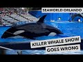 Seaworld Killer Whale Show Goes Wrong
