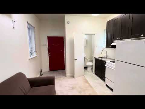 Le Boul Mich - Video 2 of 2