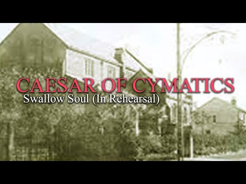 Swallow Soul (In Rehearsal) - Caesar Of Cymatics