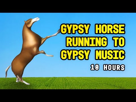 Gypsy Horse Running To Gypsy Music 10 Hours