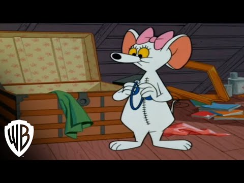 Tom and Jerry: The Chuck Jones Collection  | Attractive Mouse | Warner Bros. Entertainment