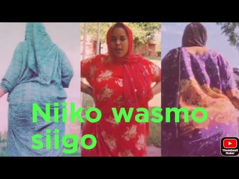 Niiko live TikTok iyo jaam wasmo bashaal shidaan nago kala kicis #shortvideos#viral#shorts #viral