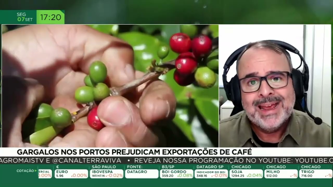Gargalos nos portos prejudicam exportações de café