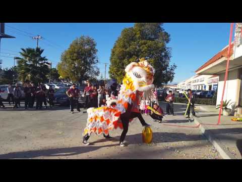 Lion Dance - YYT Nghia Anh Duong @ Pho Hoa Binh Drunken Lion 2017
