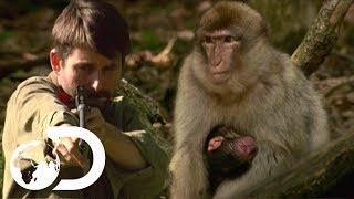 Dotty Stole My Newborn Daughter | League Of Monkeys