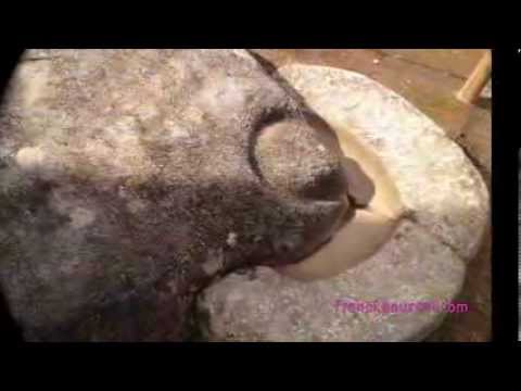 Franck Pourcel : El Condor pasa