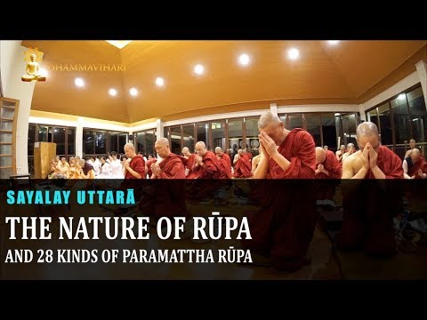 The Nature of Rūpa and 28 Kinds of Paramattha Rūpa