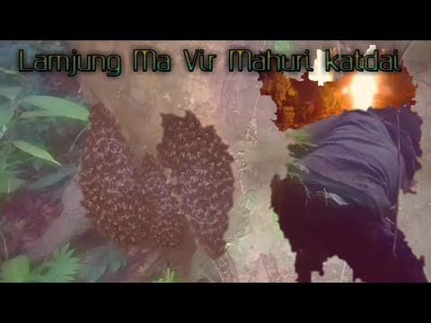 Bhir Mahuri Katdai #Lamjung
