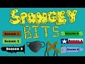 Every Patchy Appearance Season 1 6 Reviewed Spongey Bits