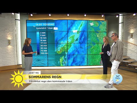 "Klass 1-varning för rikligt regn i södra Götaland" - Nyhetsmorgon (TV4)