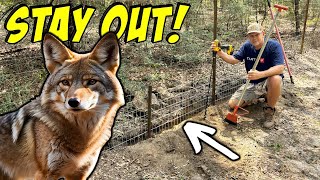 Protecting Our Farm Animals From PREDATORS!