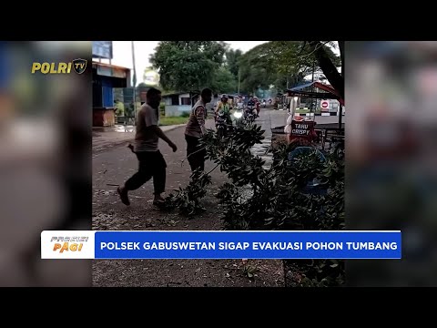 POLSEK GABUSWETAN POLRES INDRAMAYU SIGAP EVAKUASI POHON TUMBANG