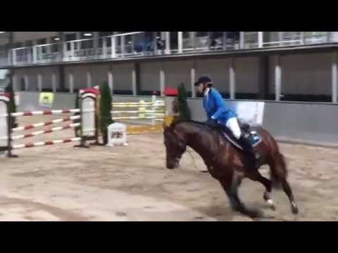 Dimple ( Diarado - Quidam's Rubin )