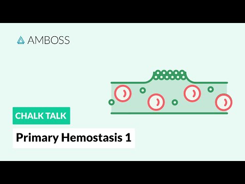 Primäre Hämostase - Teil 1: Thrombozytenadhäsion
