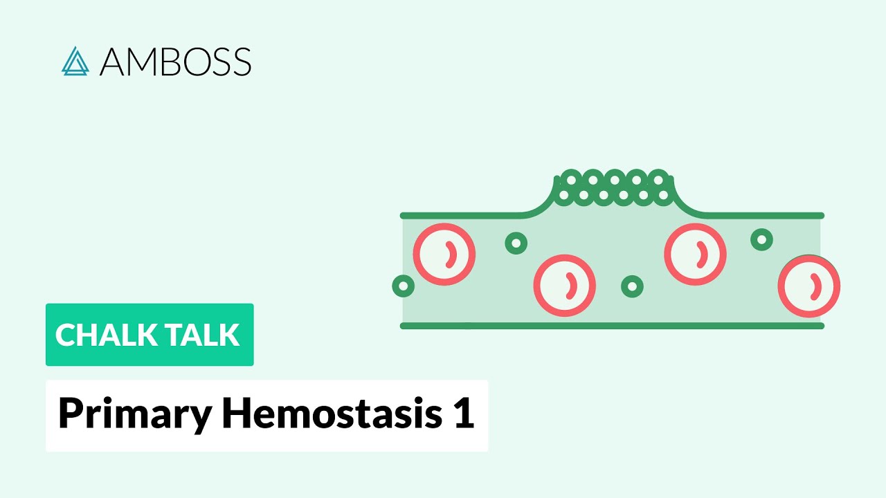 Primary Hemostasis - Part 1: Platelet Adhesion