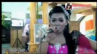 Download lagu Full Dangdut Dangdut Campursari Sangkuriang 2015 mp3 Download lagu Full Dangdut Dangdut Campursari Sangkuriang 2015 mp3