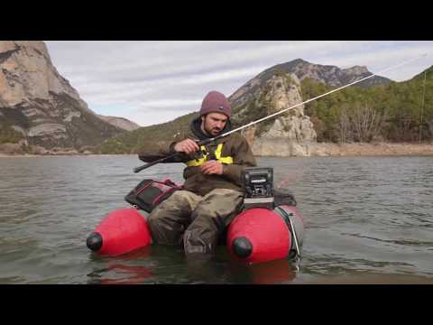 Zander Angeln im Freiwasser! #freestylefishing