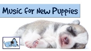 Music for New Puppies! Crate Training and Separation Anxiety Music for Puppies!