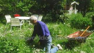 JOHNNY&#39;S GARDEN  ~  MANASSAS  ~  Lyrics