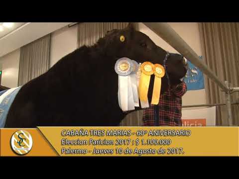 10-08-17 Eleccion Paricion 2017 - Cabaña Tres Marias - Palermo.