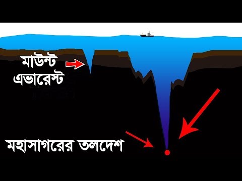 মহাসাগর ঠিক কতটা গভীর? | How Deep is the Ocean? Video