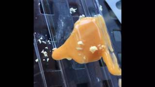 "Do You Dream in Spicy Mayo?" -A cinematic masterpiece by Isabella Salle and Valeria Bravo