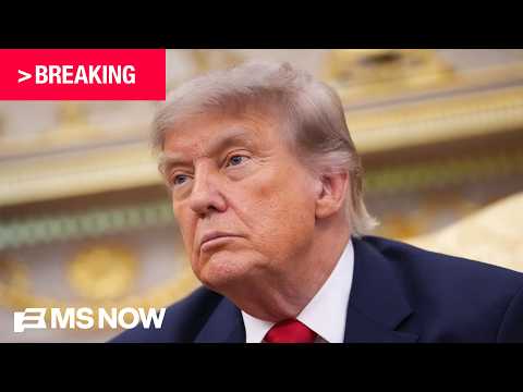 ‘Grift, grift, and grift’: Steele blasts Trump for earning $1.4B+ on crypto, coin ventures in 2025