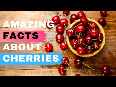 , title : 'Top 6 Amazing Facts About Cherries - Health Benefits of Eating Cherries'