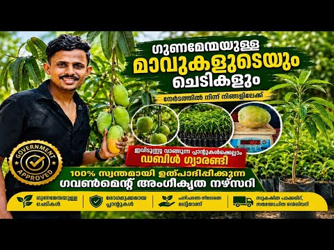 പ്ലാൻ്റുകൾക്ക് എല്ലാം ഡബിൾ ഗ്യാരണ്ടിയിൽ CHIRAYIL AGRO GARDENS