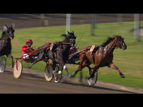 Copenhagen Cup 2018 på Charlottenlund Travbane