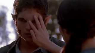 ● Teen Wolf ● Animal I Have Become ●