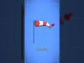 How Windsocks Help Pilots