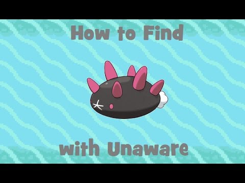 How to Find: Pyukumuku with Unaware