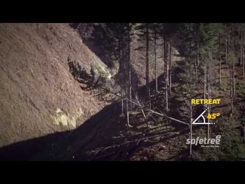 Safetree - How to - Tree Driving